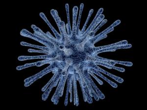 Aunque más de uno podría sorprenderse por el hecho de que partes del código genético humano proceda de antiguos virus, en realidad se trata de un fenómeno bastante más común. / PublicDomainPictures (PIXABAY)