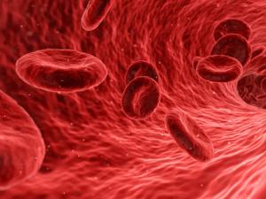 Nuevos biomarcadores asociados con cambios estructurales y metabólicos en los ventrículos en casos de enfermedad cardiovascular