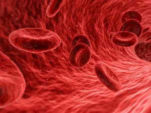 Identifican las enzimas lisil oxidasa y lisil hidroxilasa 1 como potenciales dianas terapéuticas contra la calcificación vascular. / qimono (PIXABAY)