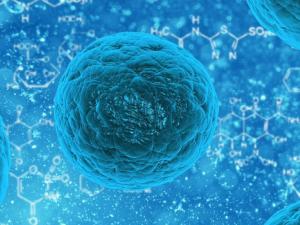 Microbioma, el código genético de nuestras bacterias. / PublicDomainPictures (PIXABAY)