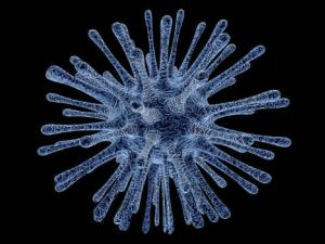 "El cáncer evoluciona más rápido que nosotros". / PublicDomainPictures (PIXABAY)