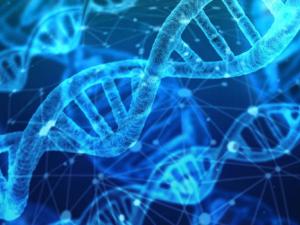 "Habrá un periodo en el que solo los más ricos podrán pagar los nuevos fármacos contra el cáncer"