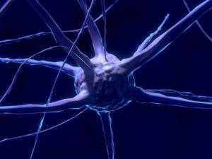 Neuron