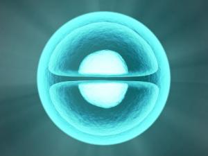 Nuevo paso hacia la creación de una célula artificial
