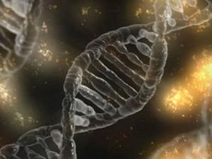 Una nueva terapia molecular permite tratar el ictus en su fase aguda. / typographyimages (PIXABAY)
