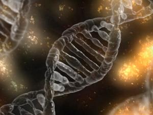 La investigación ha conseguido arrojar luz sobre un aspecto poco conocido de la estabilidad química de la información genética y su reparación. / typographyimages (PIXABAY)