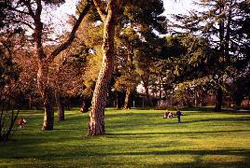 El Capricho
